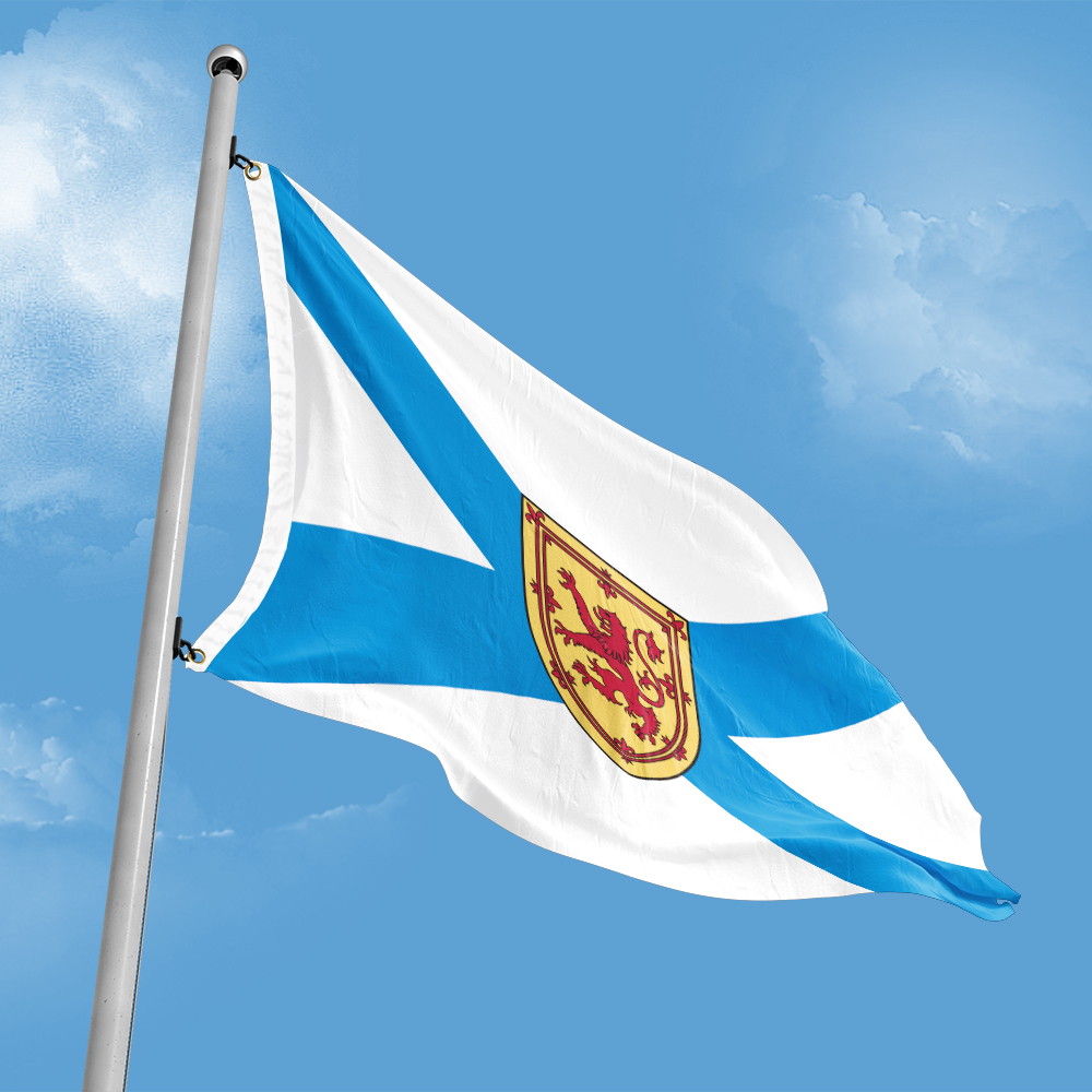 Canada Flag of Nova Scotia 3ft - Nova Decor & Lighting Vase avaliação e preço