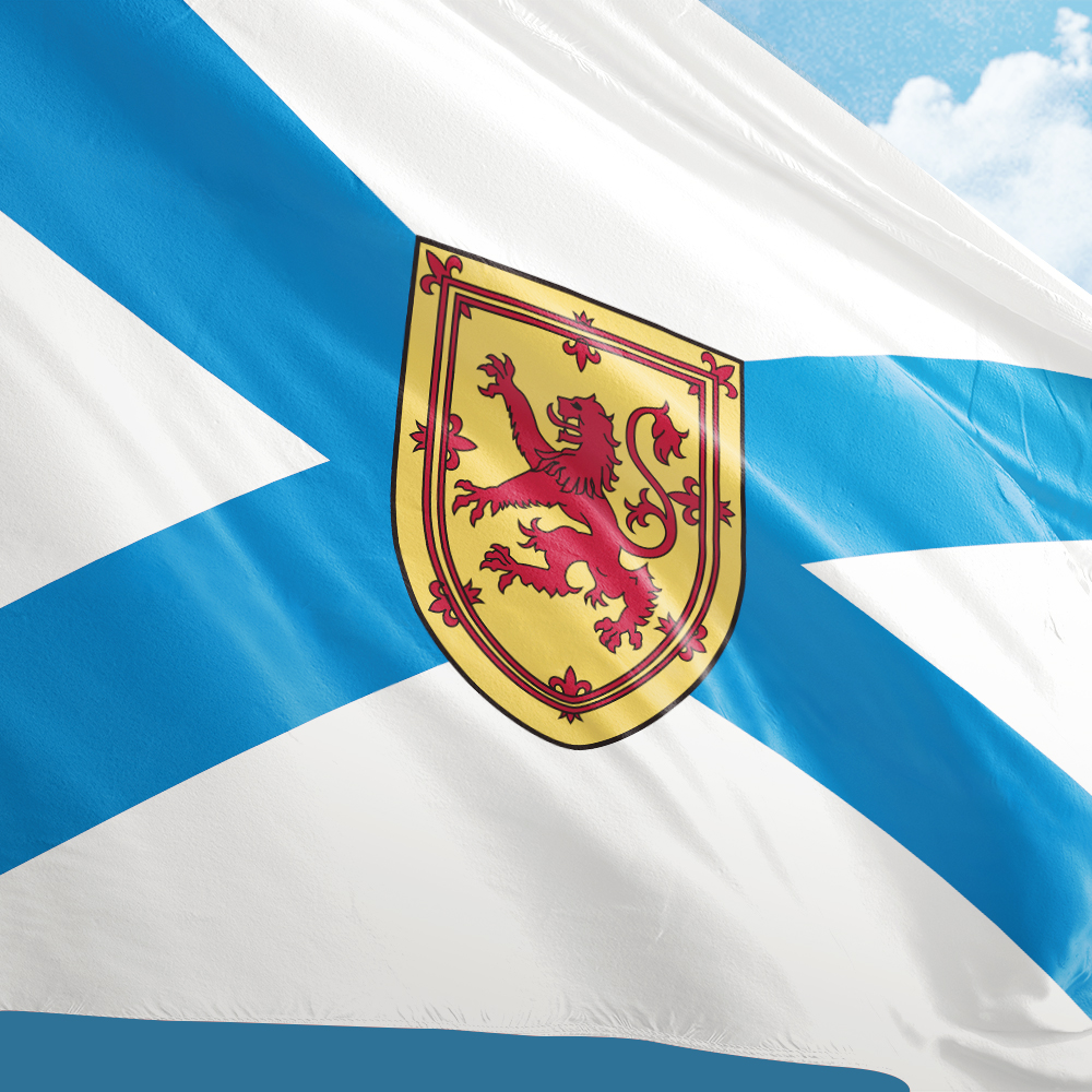 Canada Flag of Nova Scotia 3ft - Nova Decor & Lighting Vase avaliação e preço